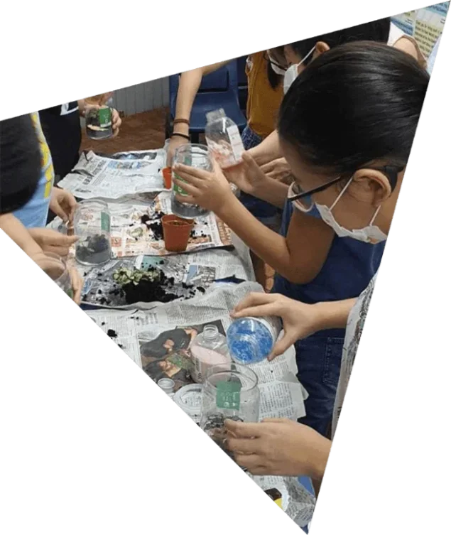 Application of Practical O level Chemistry