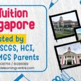 IP Physics tuition Singapore integrated programme