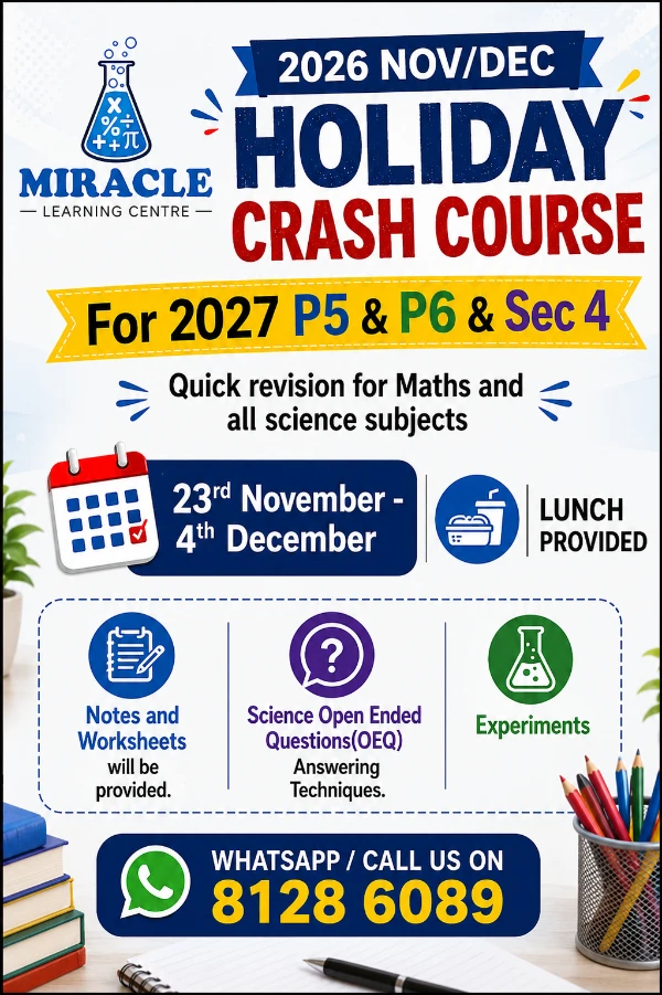 nov dec holiday crashcourse